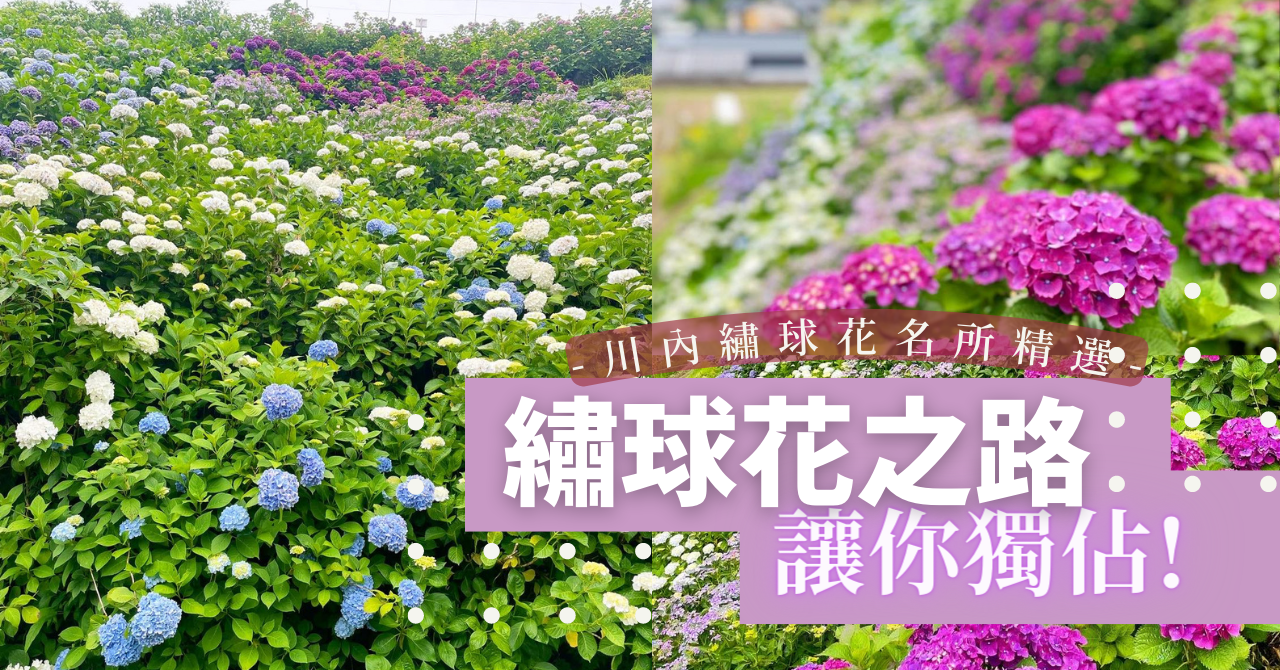 繡球花之路讓你獨佔 川內繡球花名所精選 鹿兒島 薩摩川內旅遊情報日本九州自由行