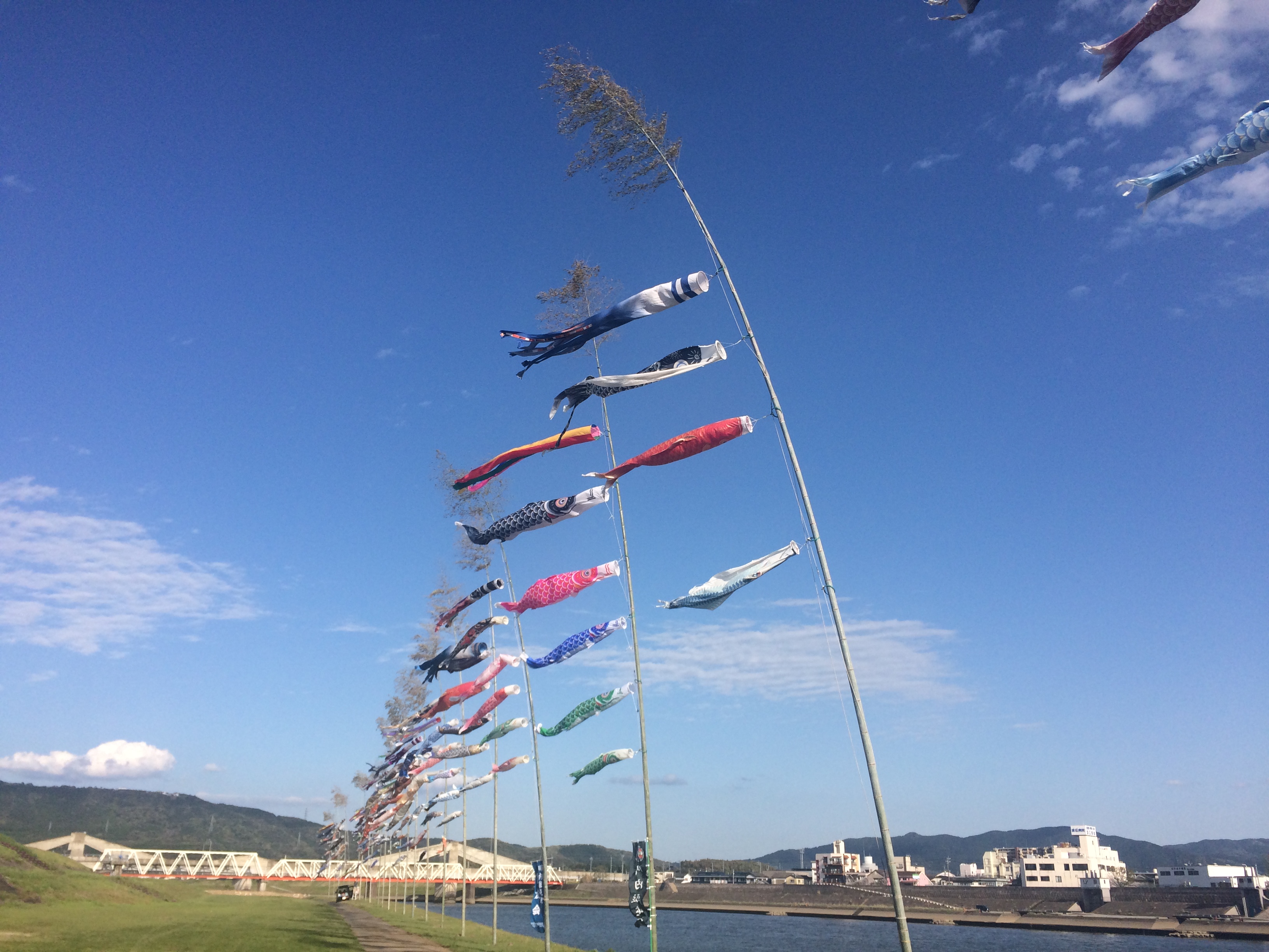 川内川に鯉のぼり こころ 薩摩川内観光物産ガイド