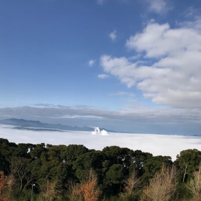 古い記事: 「雲海」自然が生み出す美しい景色・・・寺山いこいの広場201