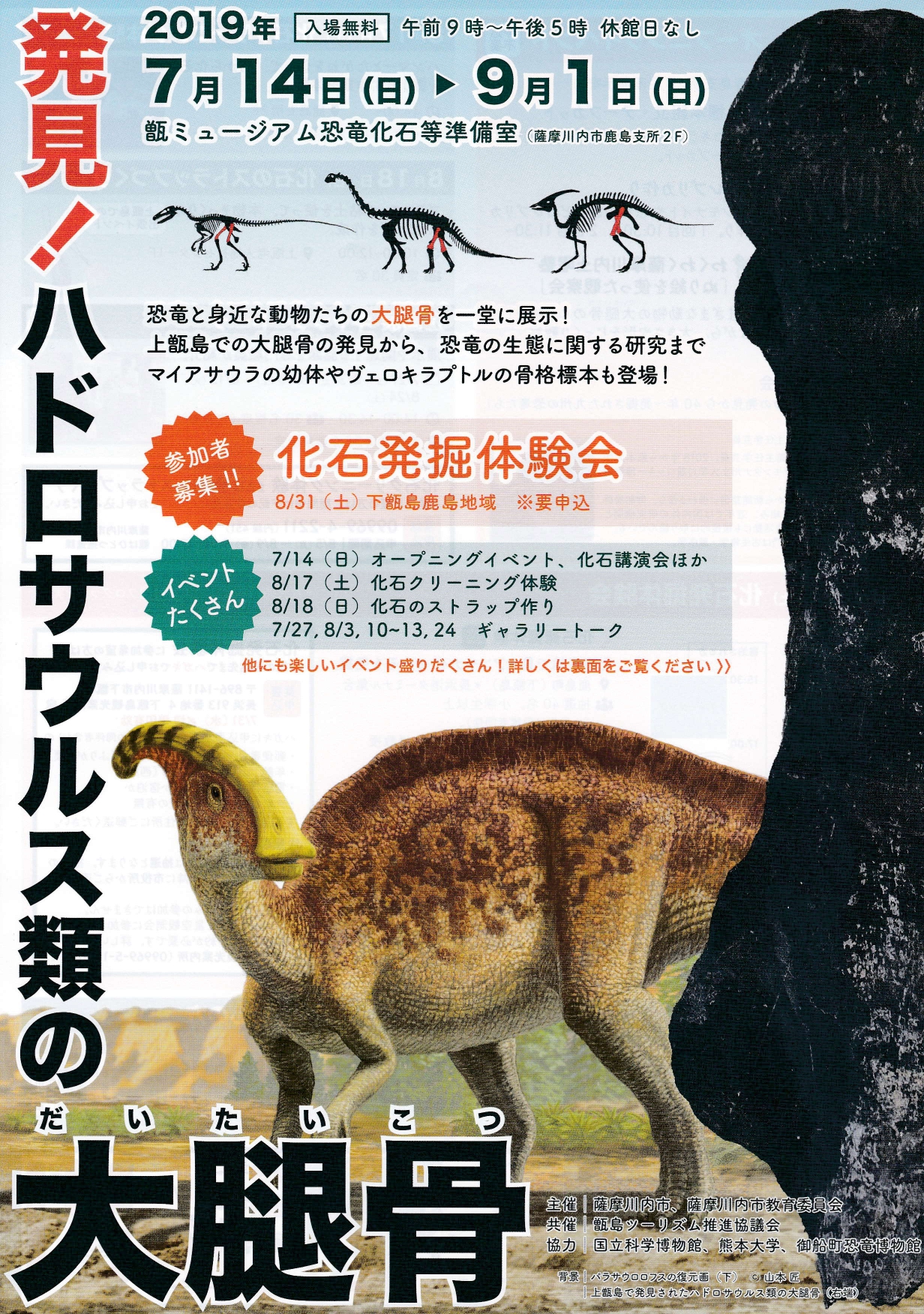 発見!ハドロサウルス類の大腿骨展示! 化石発掘体験会などイベントも