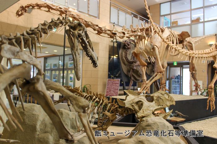 甑ミュージアム恐竜化石等準備室 こころ 薩摩川内観光物産ガイド