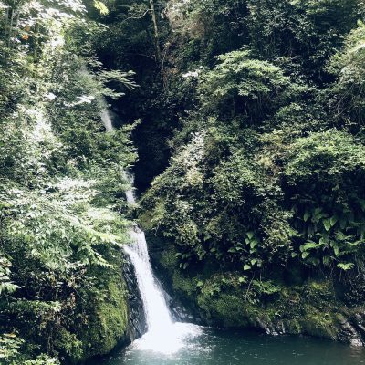 古い記事: 藤本を訪ねて。藤本の滝、拠り所ふじもと