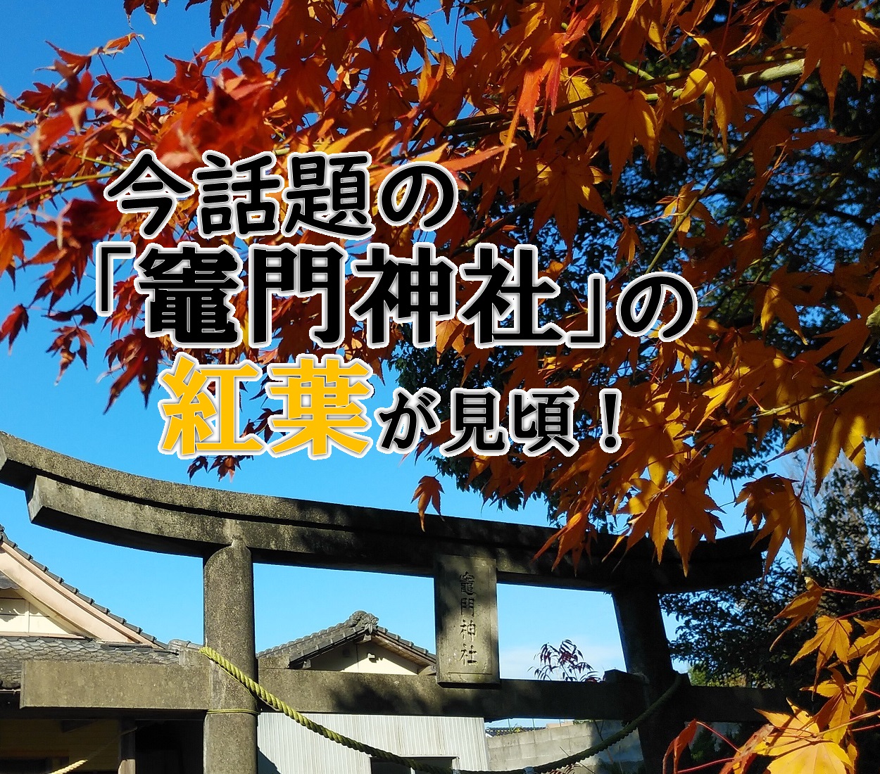 今話題 竈門神社 の紅葉が見頃 こころ 薩摩川内観光物産ガイド